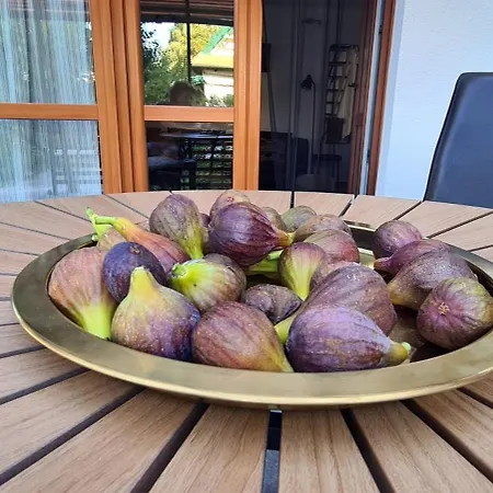 Hébergement de vacances Babérház